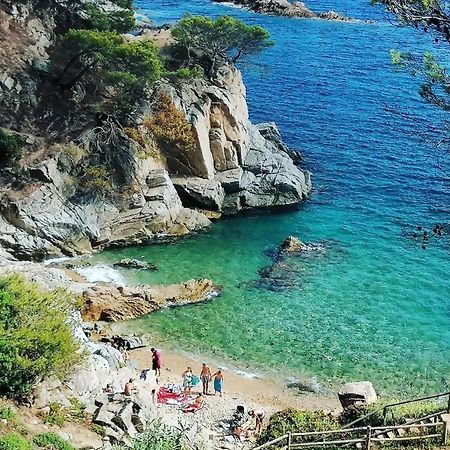 La Calma De Tossa Apartment Херона Екстериор снимка
