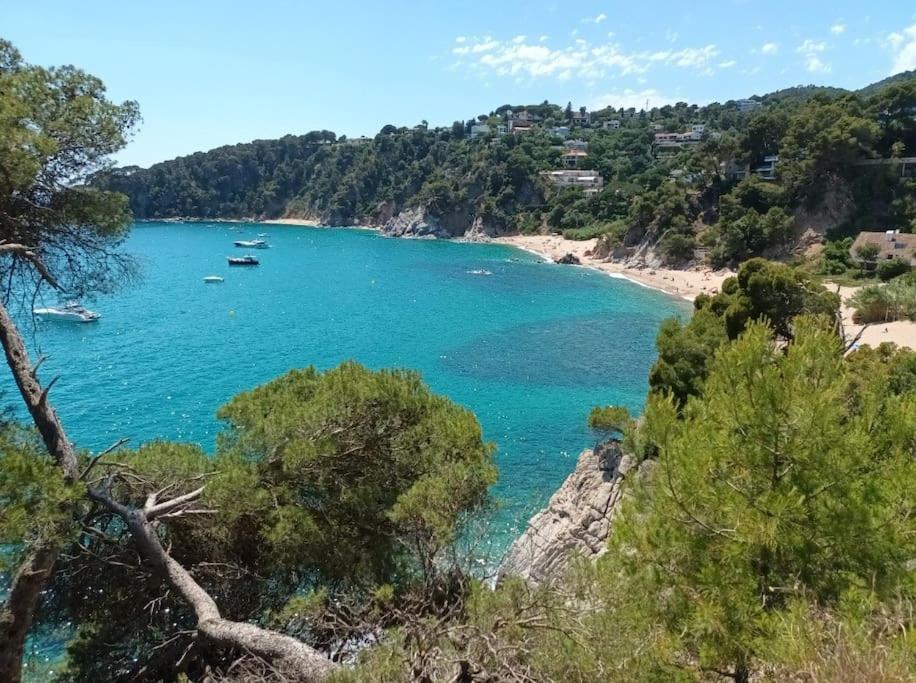 La Calma De Tossa Apartment Херона Екстериор снимка